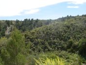 2008-03-22-016-Hill-sides