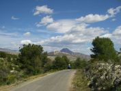 2008-03-22-023-Puig-Campana
