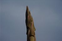 2008-03-23-035-Agave-americana