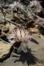 2008-03-23-356-Unknown