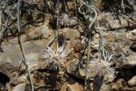 2008-03-23-357-Unknown