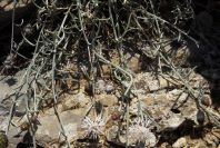 2008-03-23-358-Unknown