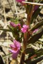 2008-03-23-359-Unknown