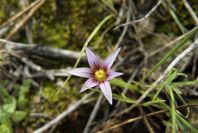2008-03-23-482-Unknown
