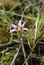 2008-03-23-483-Unknown