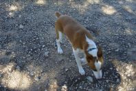 2008-03-23-491-Tres
