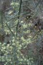 2008-03-23-494-Unknown