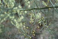 2008-03-23-495-Unknown