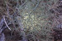 2008-03-23-496-Unknown