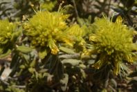 2008-03-23-497-Unknown