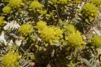 2008-03-23-498-Unknown