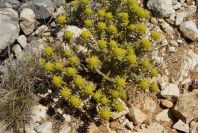 2008-03-23-499-Unknown