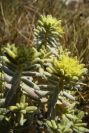 2008-03-23-501-Unknown