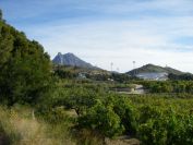 2008-03-24-004-Puig-Campana