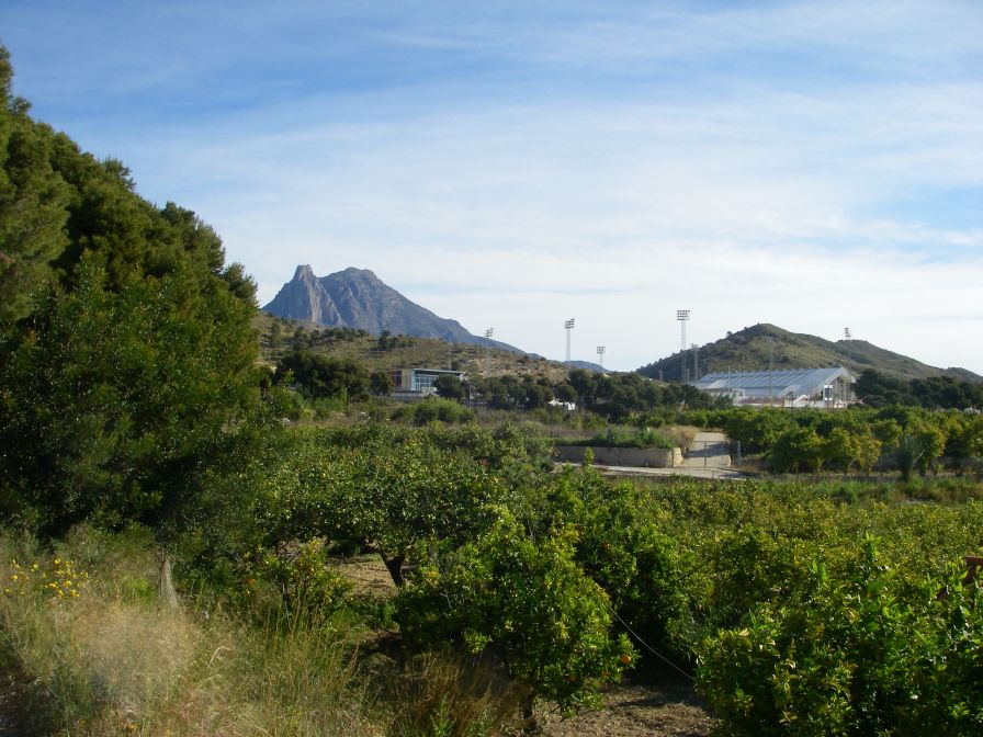 2008-03-24-004-Puig-Campana
