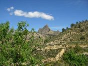 2008-03-24-030-Mountain-view
