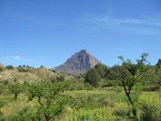 2008-03-24-032-Mountain-view