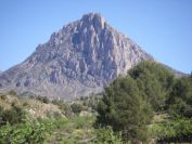2008-03-24-033-Puig-Campana