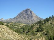 2008-03-24-035-Puig-Campana