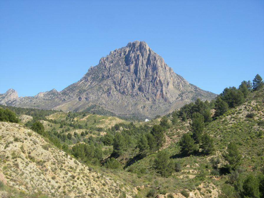 2008-03-24-035-Puig-Campana