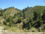 2008-03-24-036-Mountain-view