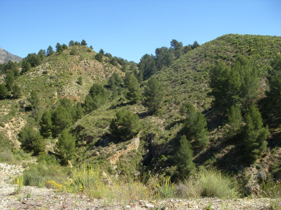 2008-03-24-036-Mountain-view