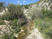 2008-03-24-072-Stream