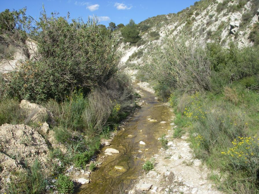 2008-03-24-072-Stream