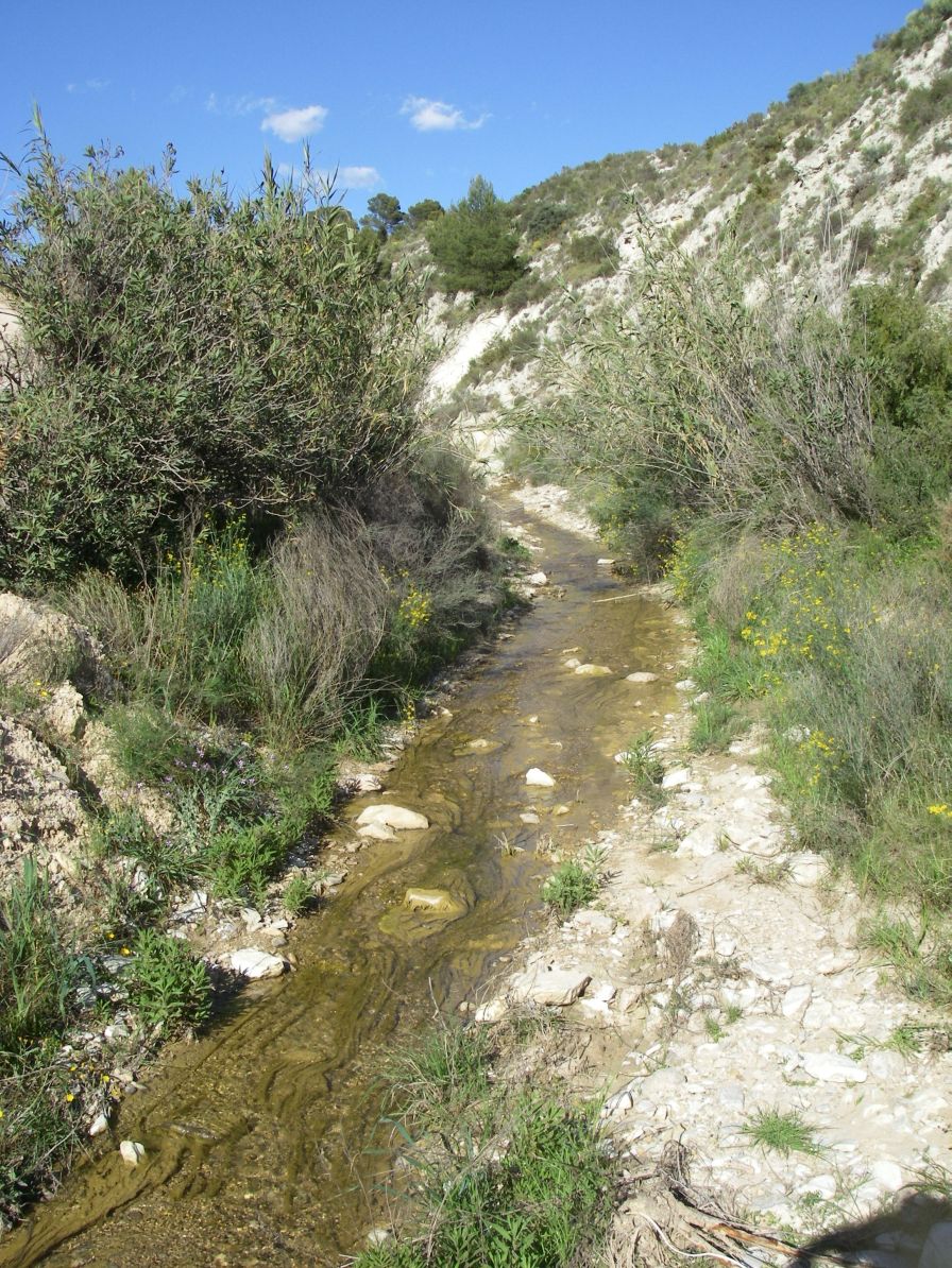 2008-03-24-073-Stream