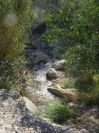 2008-03-24-074-Stream