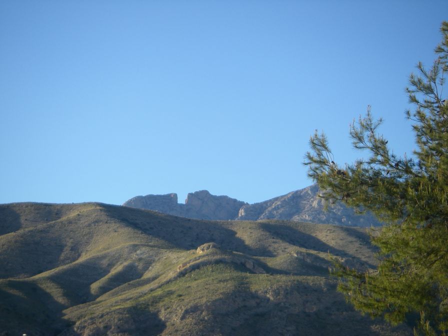 2008-03-24-090-Puig-Campana