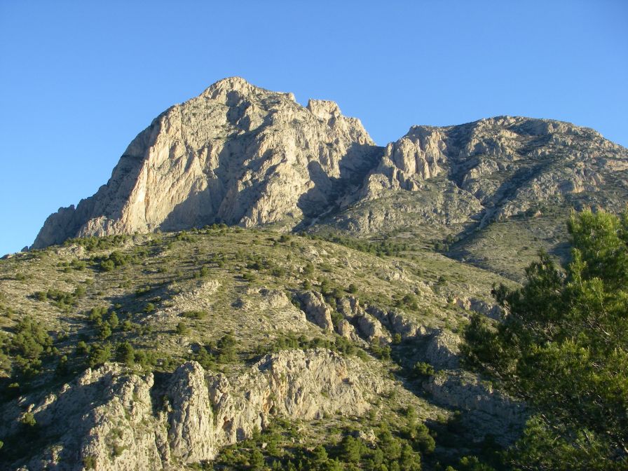 2008-03-25-001-Puig-Campana