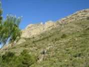 2008-03-25-012-Puig-Campana