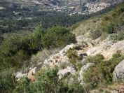 2008-03-25-017-Puig-Campana-area