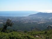 2008-03-25-020-Albir