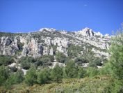 2008-03-25-032-Puig-Campana