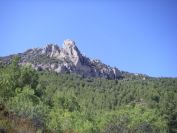 2008-03-25-034-Puig-Campana