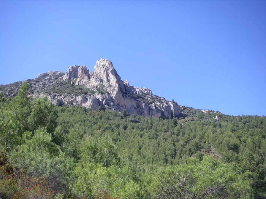 2008-03-25-034-Puig-Campana