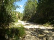 2008-03-25-040-River-bed