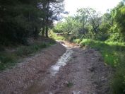 2008-03-25-041-River-bed-walk