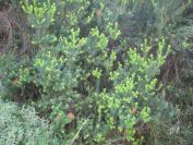 2008-03-26-049-Heather
