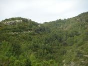 2008-03-29-014-Terrain