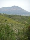 2008-03-29-016-Terrain