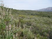 2008-03-29-022-Terrain