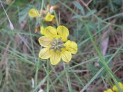 2008-03-29-032-Unknown