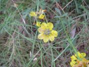 2008-03-29-033-Unknown