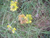 2008-03-29-034-Unknown