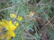 2008-03-29-035-Unknown