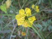 2008-03-29-036-Unknown