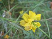 2008-03-29-037-Unknown